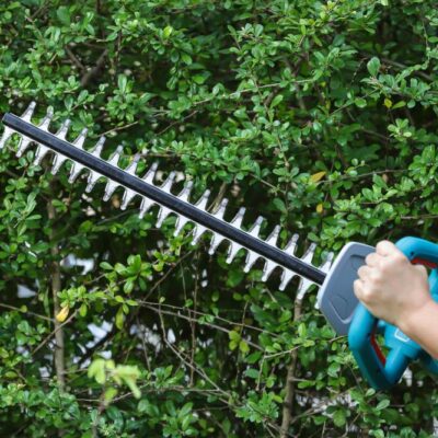 Heggenschaar slijpen